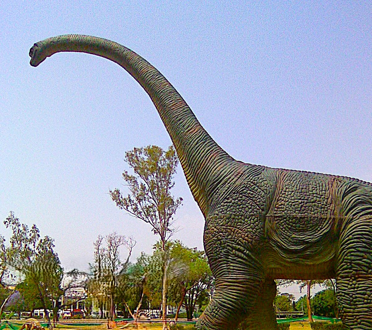 A Tall, Leaf-Eating Dinosaur